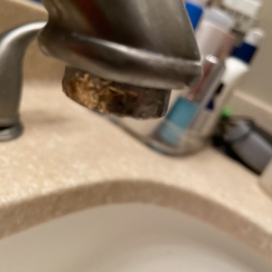 Photo of Selective Carpet Cleaning