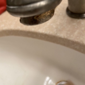Photo of Selective Carpet Cleaning