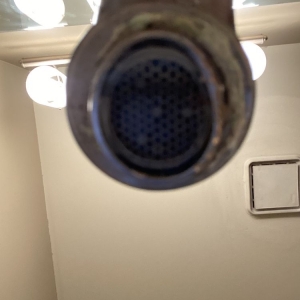 Photo of Selective Carpet Cleaning