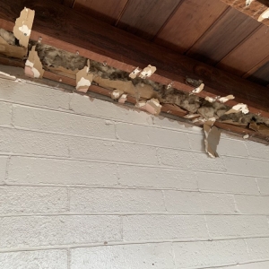 Phoenix Billie's Handyman Services