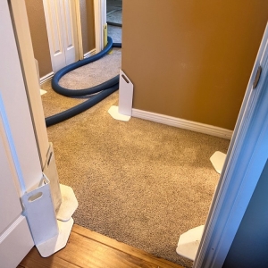 Photo of All Ways Cleaning & Restoration of Denver