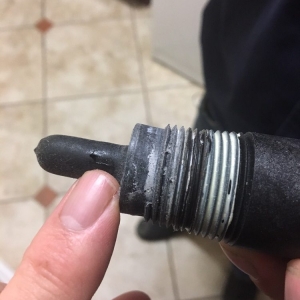 Photo of SAP Home Repair Services
