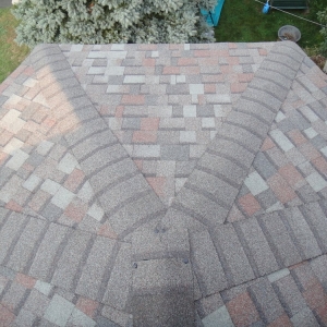 Photo of Tony Gatto Home Improvements