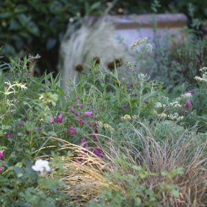 Photo of Jennifer Kate Landscapes