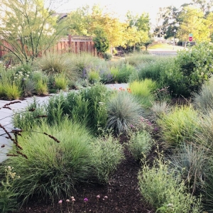 Photo of Jennifer Kate Landscapes