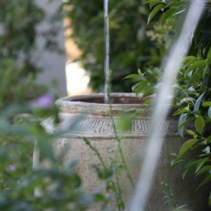 Photo of Jennifer Kate Landscapes