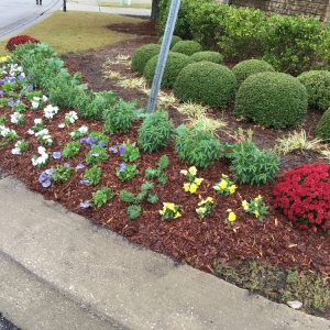 Photo of Details Lawn Care