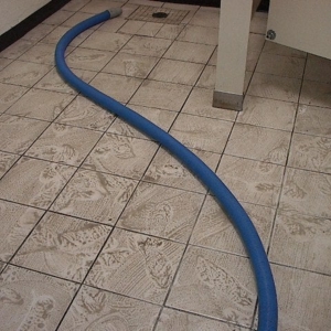 Photo of AYC Carpet & Upholstery Cleaning