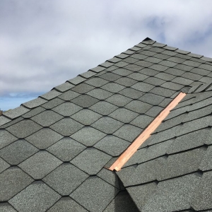 Photo of Sure Roofing & Waterproofing