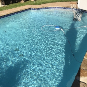 Venus A to Z Pool and Spa