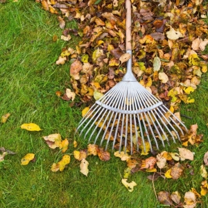 Photo of Casey's Landscaping and Curb Appeal