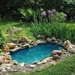 Photo of Casey's Landscaping and Curb Appeal