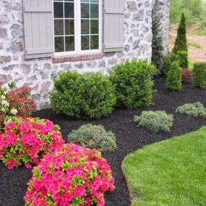 Photo of Casey's Landscaping and Curb Appeal