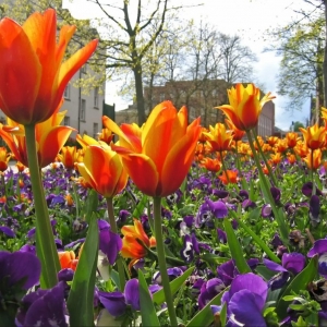 Photo of Casey's Landscaping and Curb Appeal