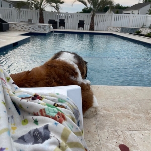 Photo of Carolinas Pool Cleaning