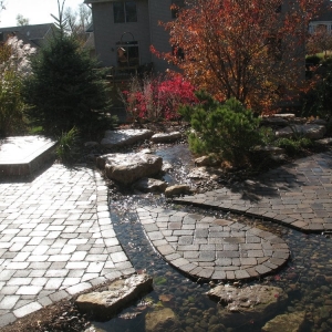 Photo of Garden Expressions