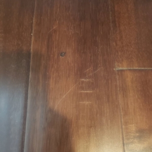 Photo of Pacific Scratch Repair