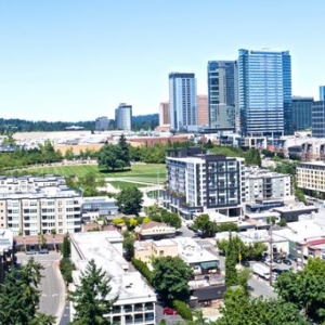 Bellevue Leibsohn & Company
