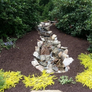 Photo of 4-Seasons Landscape