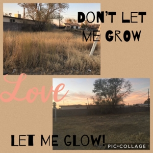 Photo of El Paso Landscapers
