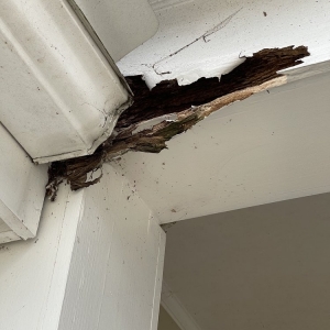 Photo of Carolinas Handyman Service