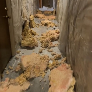 Photo of Piccadilly Apartments