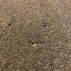San Antonio CRT Flooring