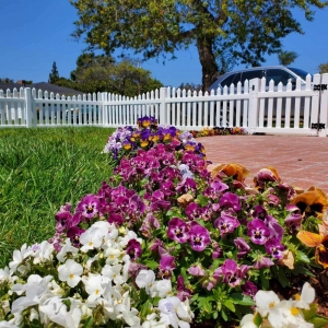 Photo of Chula Vista Fence