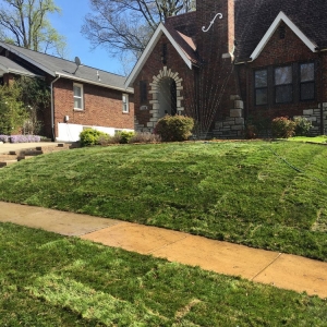 Photo of Complete Lawn Care