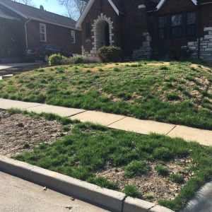 Photo of Complete Lawn Care