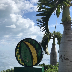 Miami Gardens Newcomb Landscaping Service
