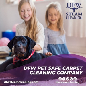 Photo of DFW Steam Cleaning