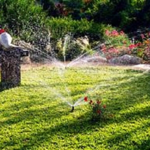 Photo of Baytown Landscaping