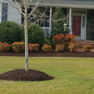 Photo of Capital Contracting