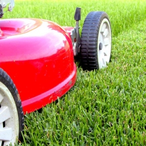 Photo of Alliance Lawn Care and Snow Plowing