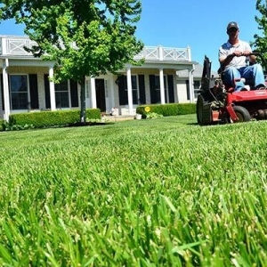 Photo of Alliance Lawn Care and Snow Plowing