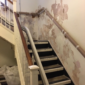 Photo of D. Ruggeri Painting & Design