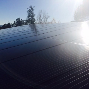 Photo of OSullivan Green Solar