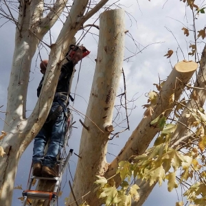 Hemet Matthew's Maintenance