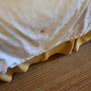 Photo of Holiday Inn Express Germantown