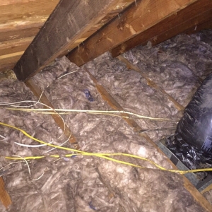 Photo of Attic Control