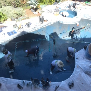 Photo of Poolscape Unlimited