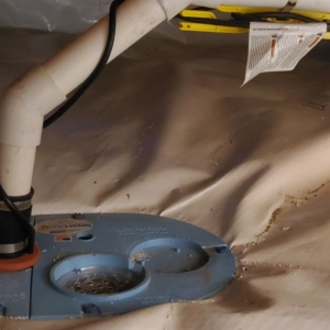 Photo of Clean CrawlSpace