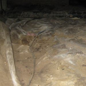 Photo of Clean CrawlSpace