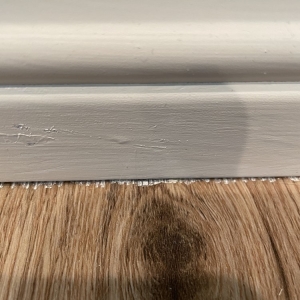 Photo of Crest Painting