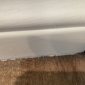 Photo of Crest Painting