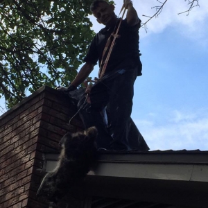 Photo of PCC Sweeps