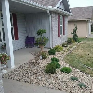 Photo of Arreola Lawn Maintenance