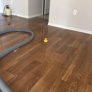 Dallas TLC Carpet Cleaning