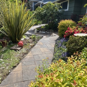 Photo of Seattle Rockeries